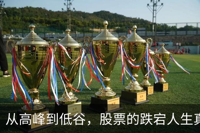 从高峰到低谷，股票的跌宕人生真是个大戏！